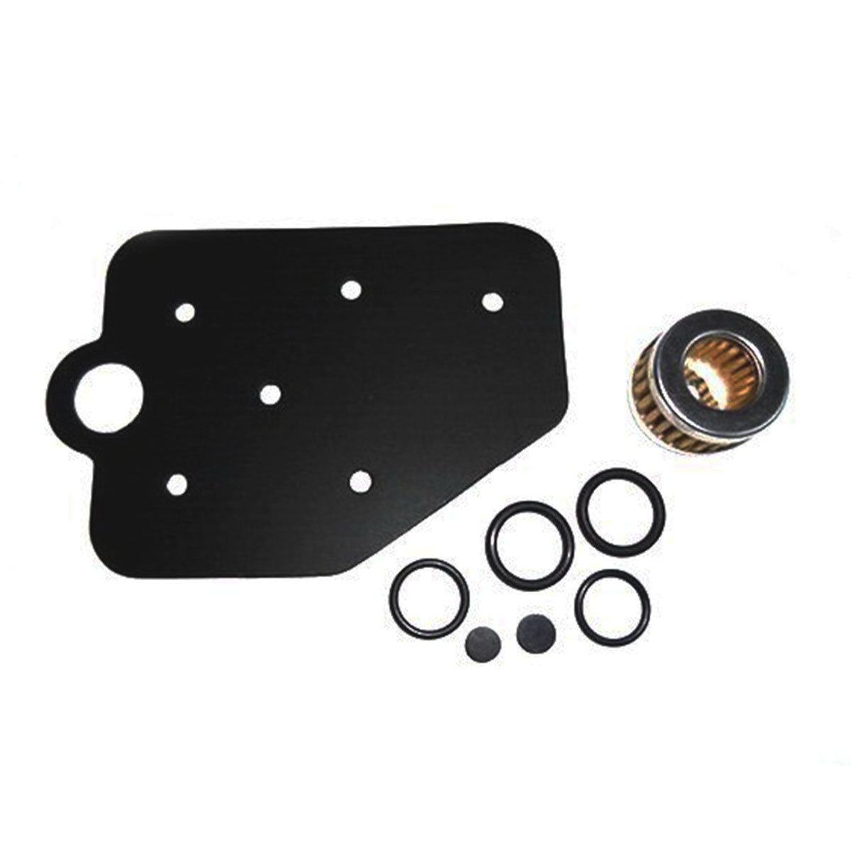 Reducer Repair Kit AG Italia RPG09 4154