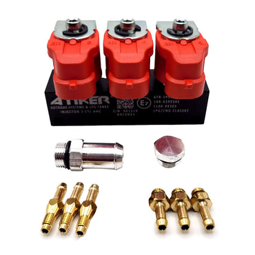 ATIKER OKCAN ALBIEN VALTEK TYPE LPG-CNG AHC 3 Cyl Injectors 3 OHM